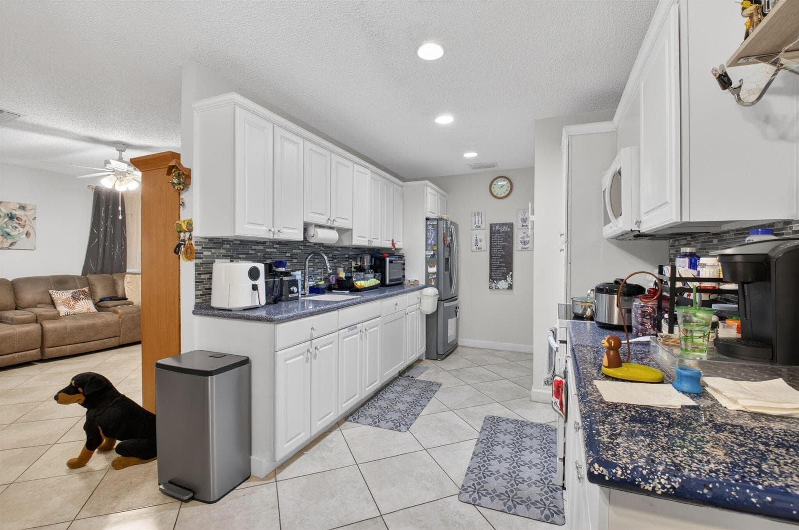14232 Campanelli Drive photo 9