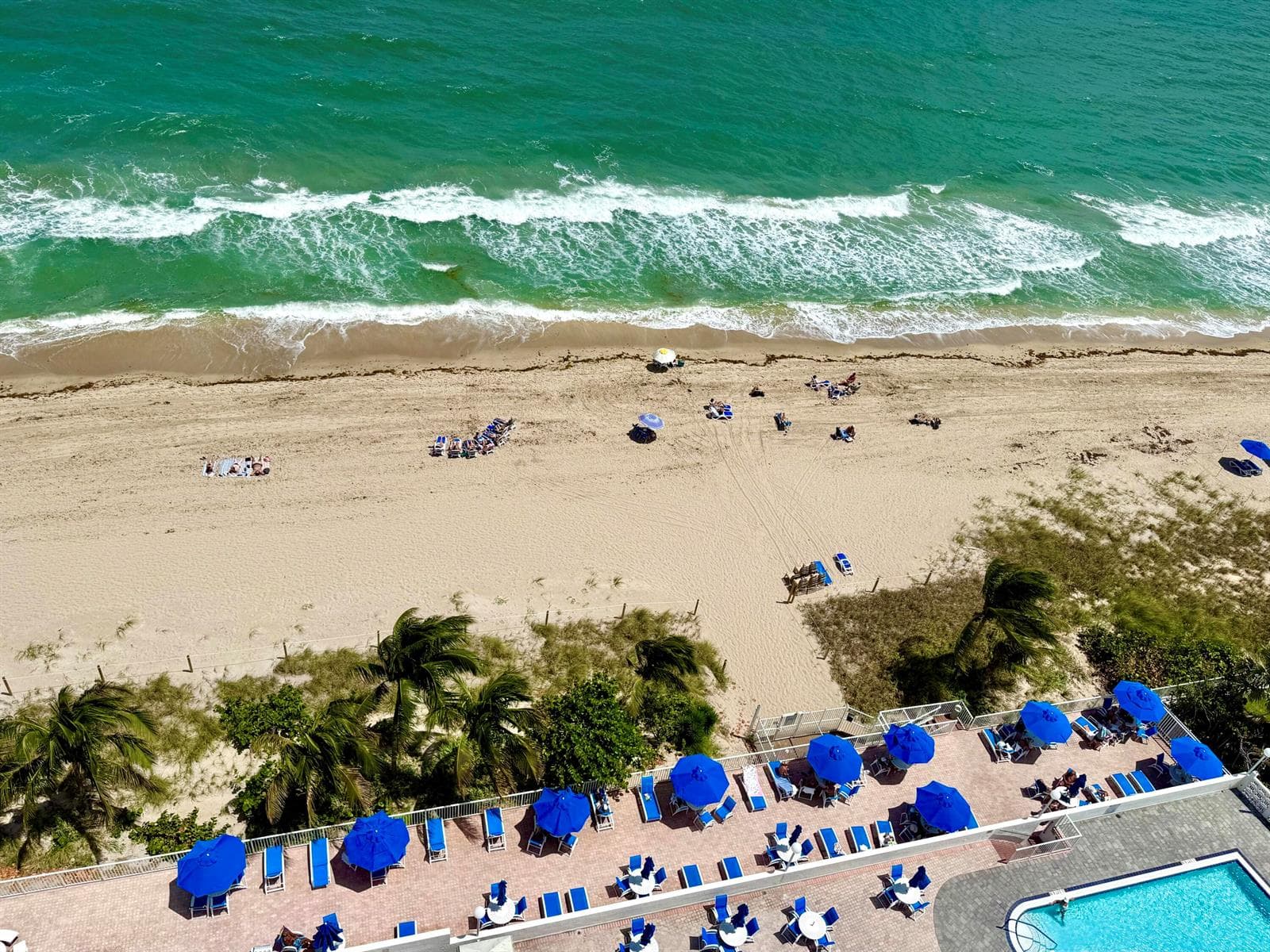 4250 Galt Ocean Drive 14t photo 4