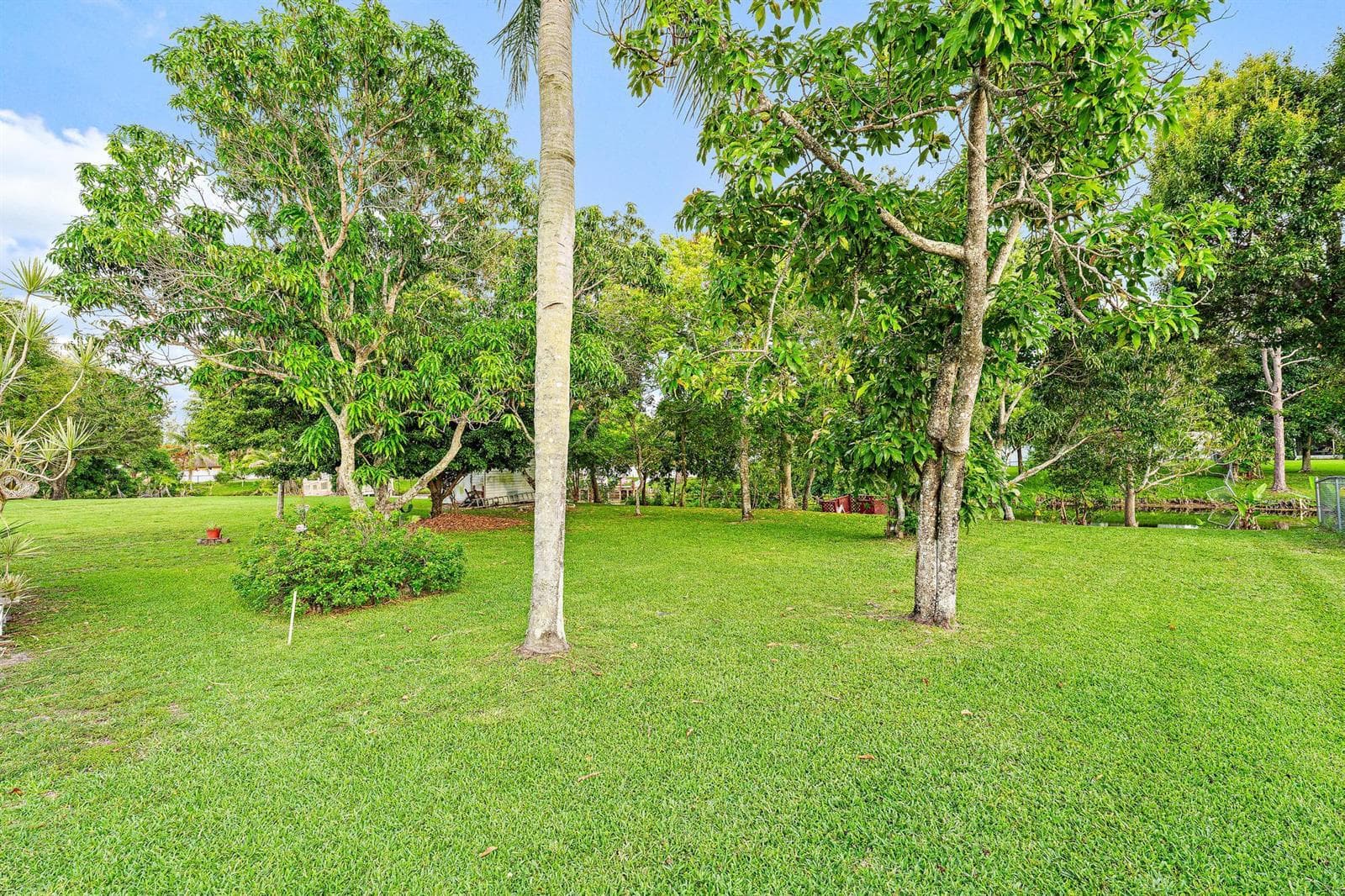 113 Cordoba Circle photo 16