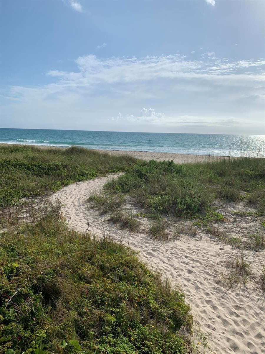 5167 N Highway A1a Highway 806 photo 11
