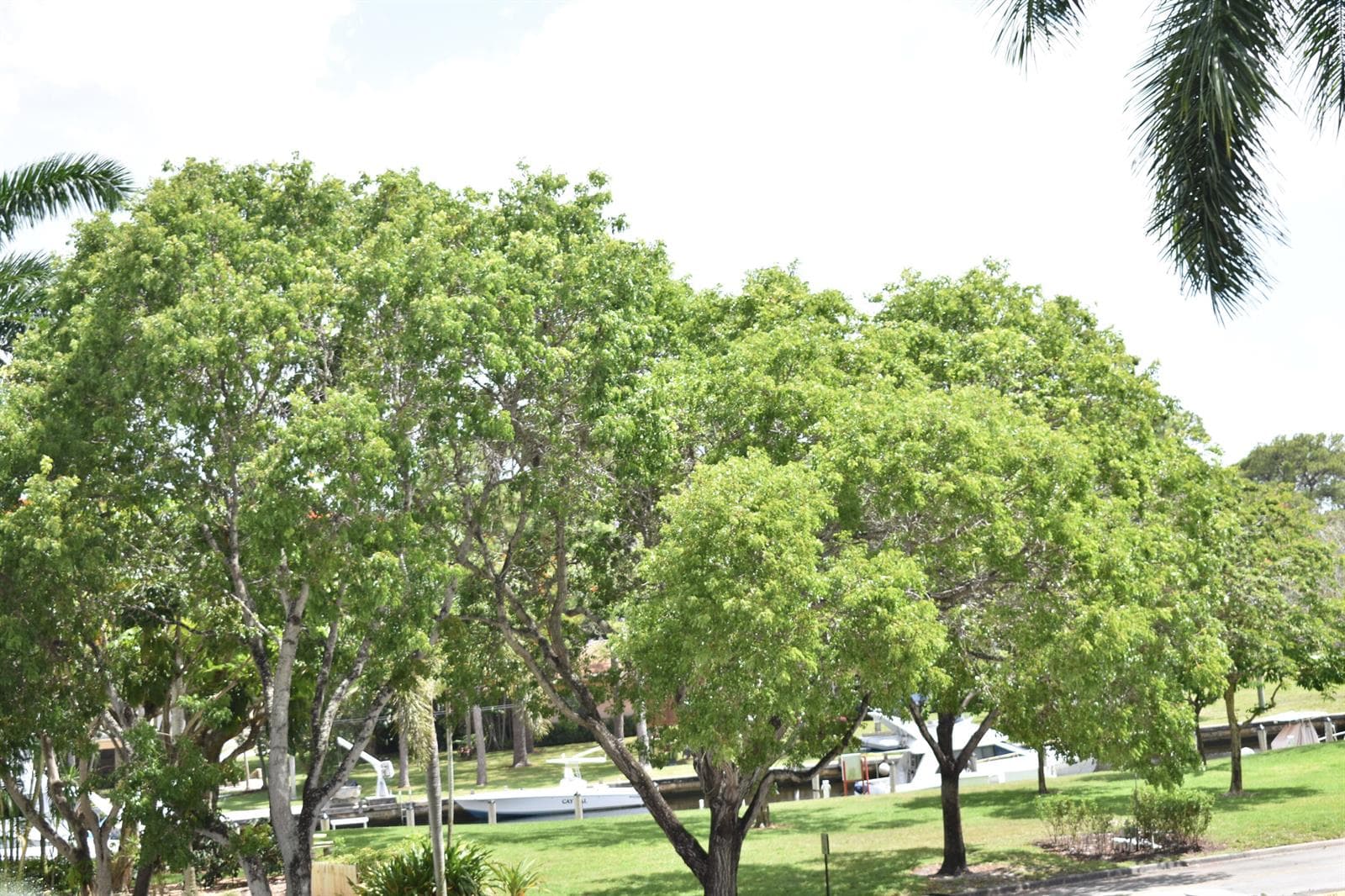 1101 River Reach Drive 212 photo 17