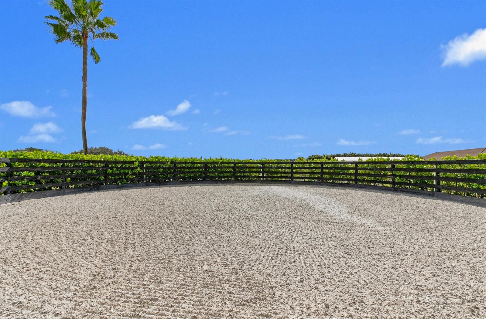 14710 Palm Beach Point Boulevard photo 17