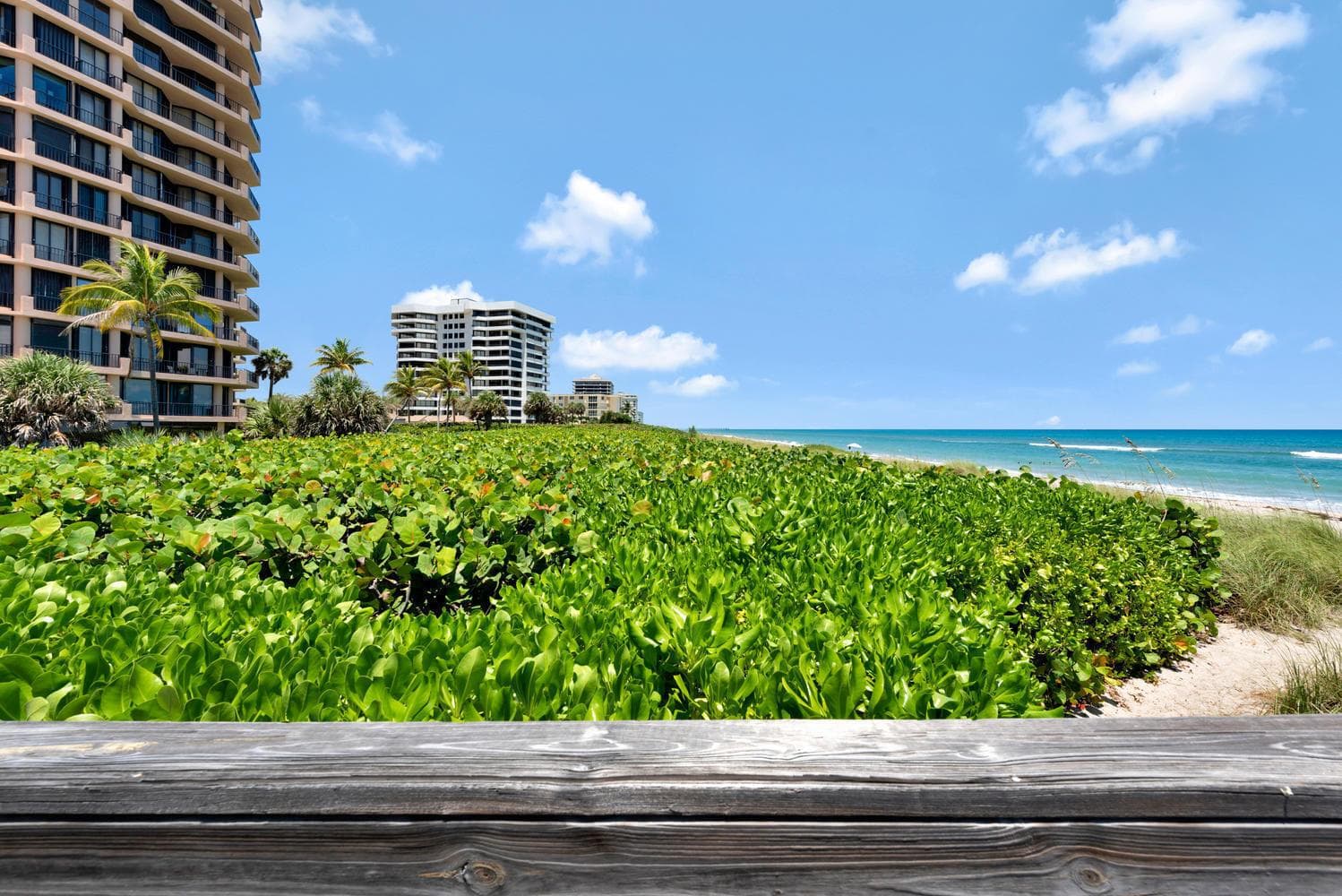530 Ocean Drive 202 photo 1