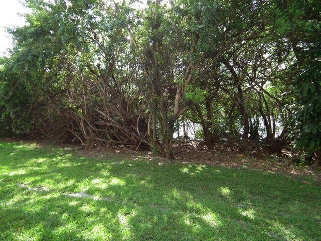 815 W Boynton Beach Boulevard 10-103 photo 14