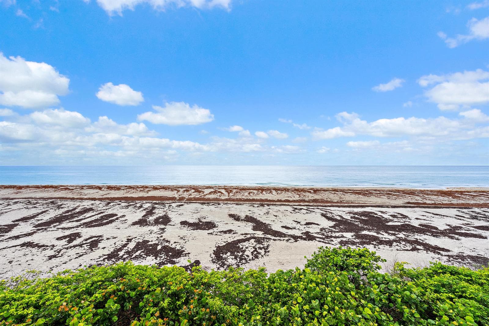 900 Ocean Drive 202 photo 3