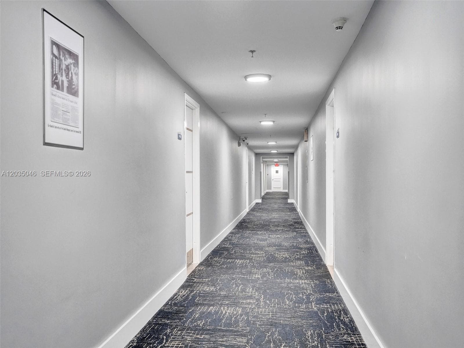 5225 Collins Ave 1606 photo 18
