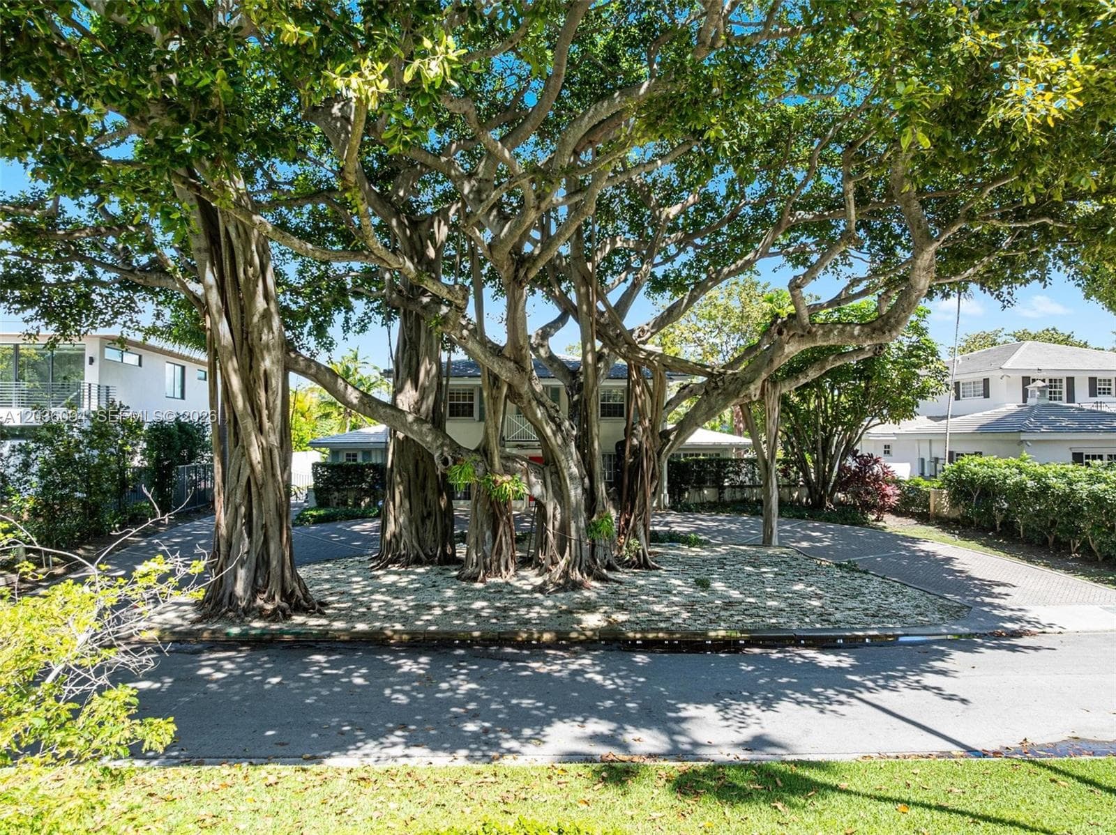 655 Buttonwood Ln photo 5
