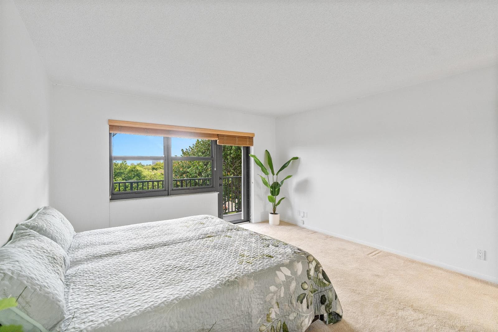 5100 N Ocean Boulevard 517 photo 22