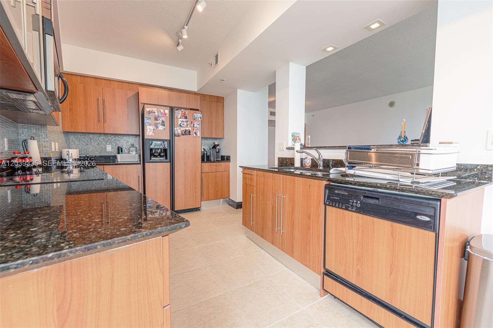 335 S Biscayne Blvd 1009 photo 8