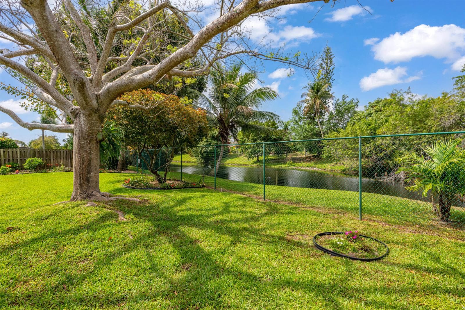 1101 Mystic Way photo 3