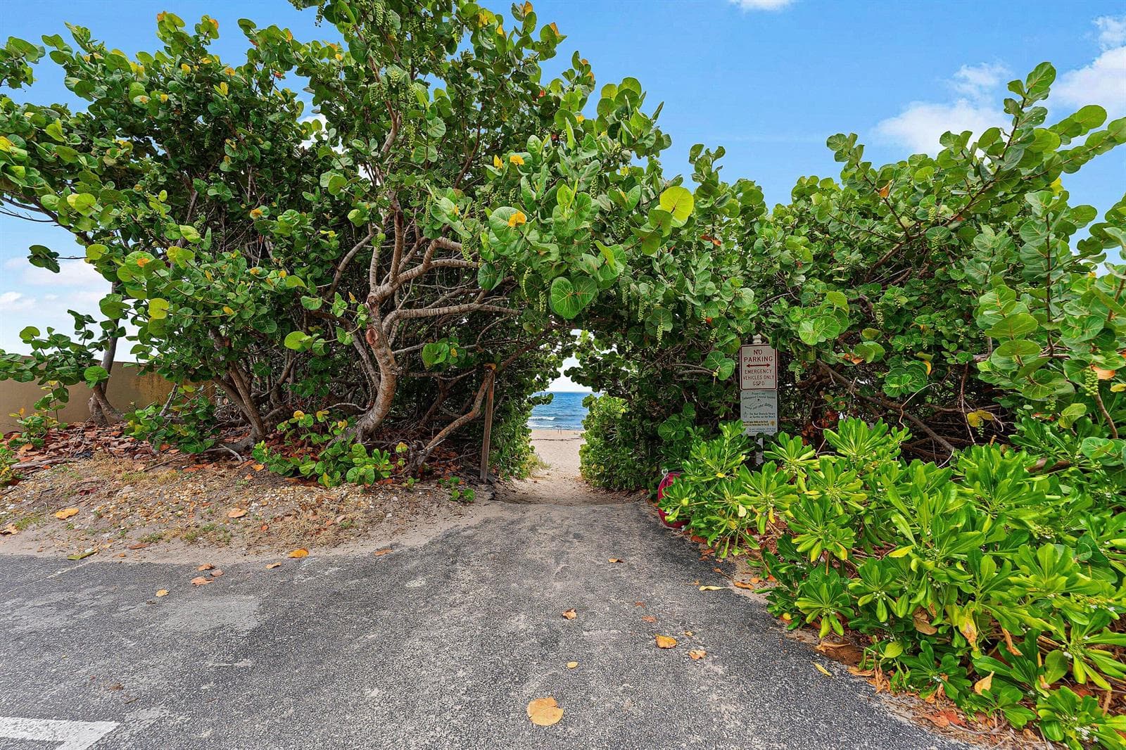 3851 N Ocean Boulevard 4030 photo 20