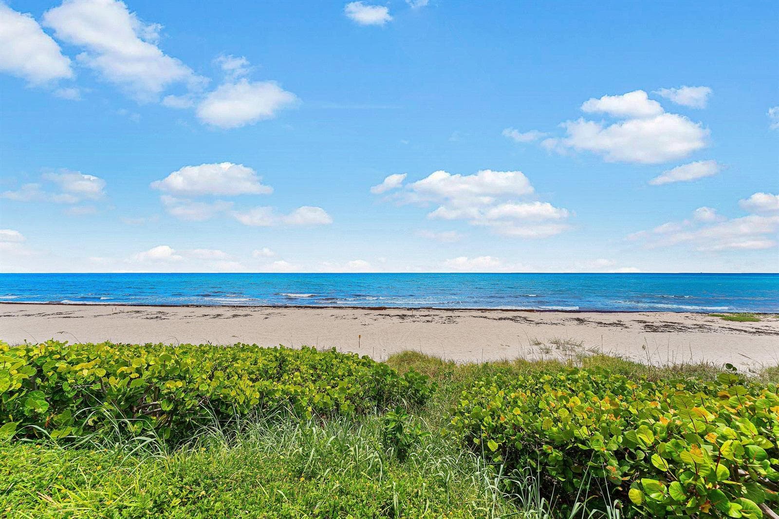 3851 N Ocean Boulevard 4030 photo 19