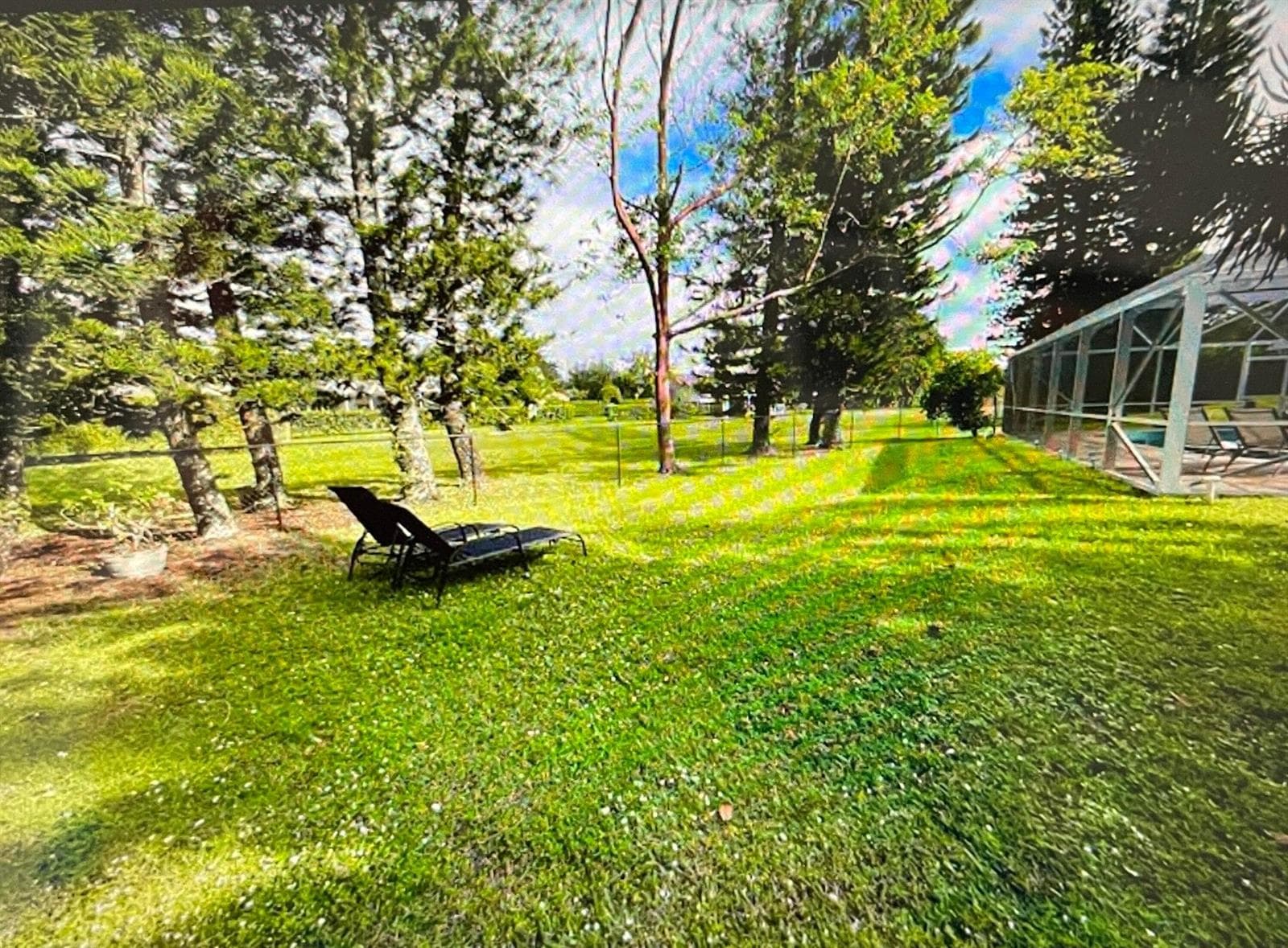 1799 Shower Tree Way photo 24