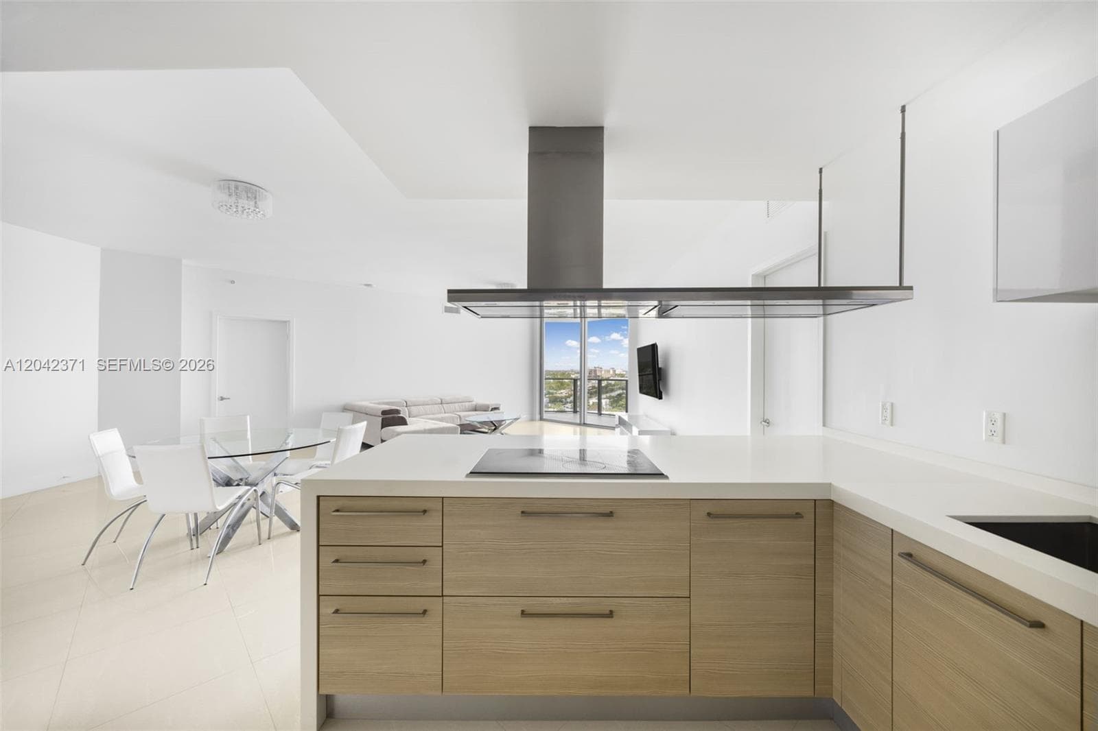 17301 Biscayne Blvd 1704 photo 8