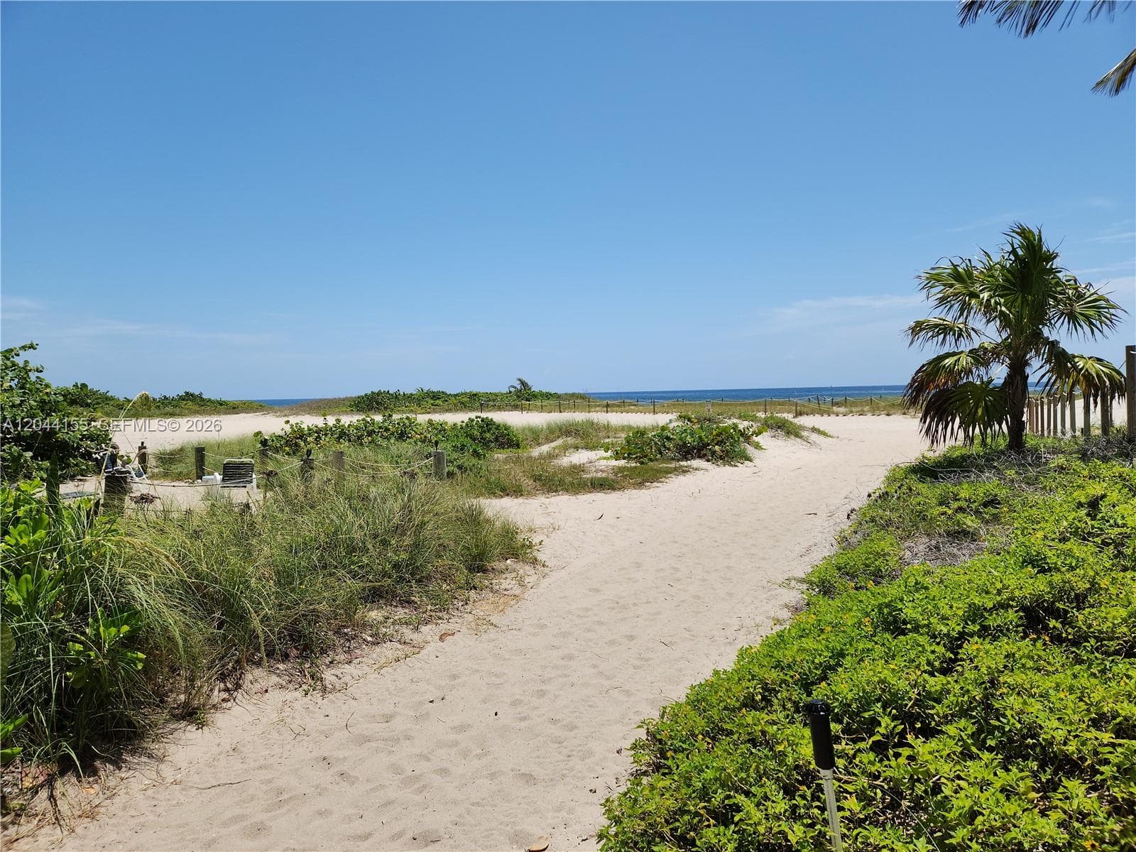1009 N Ocean Blvd 411 photo 1