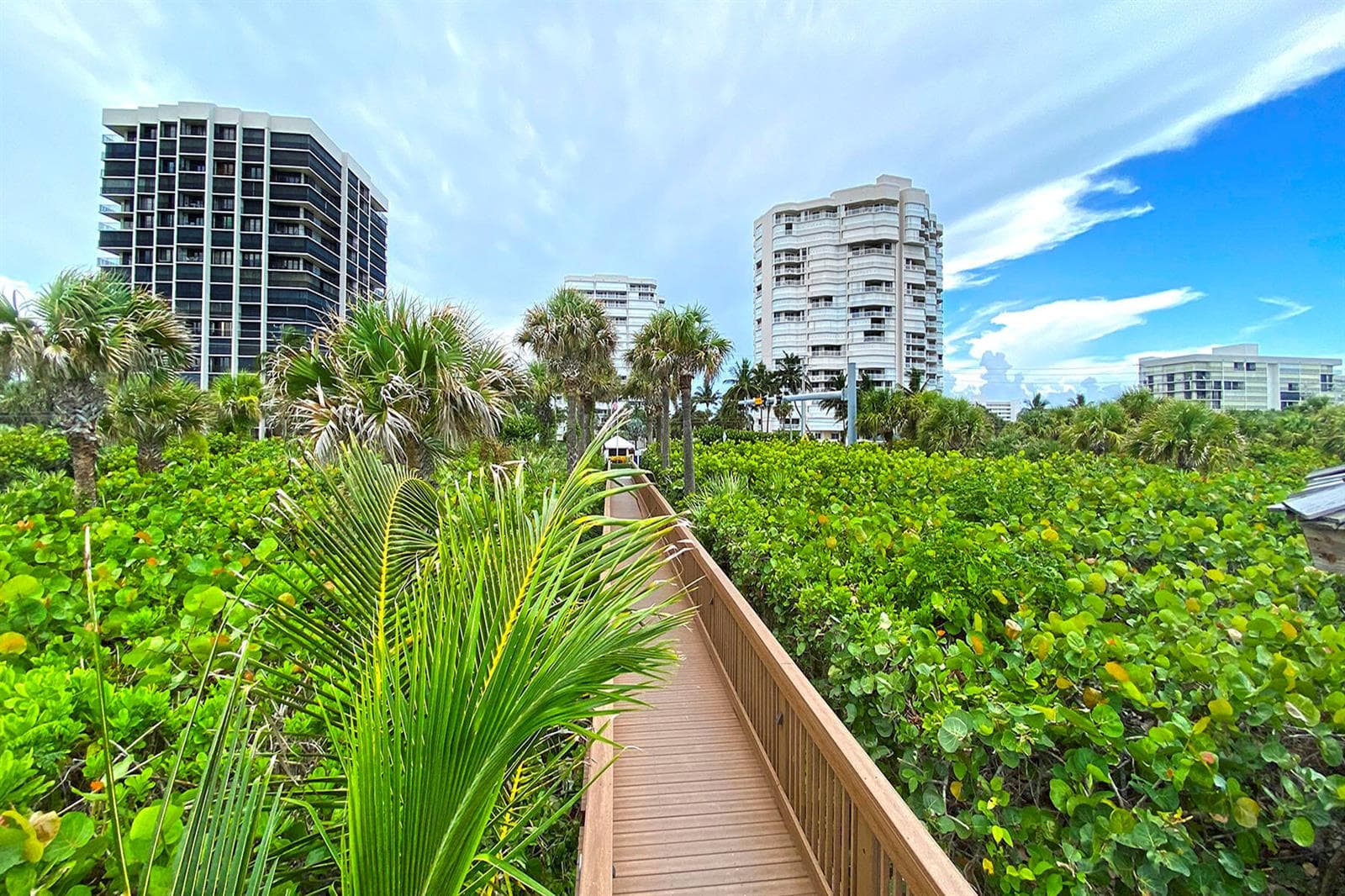 5047 N Highway A1a 802 photo 2