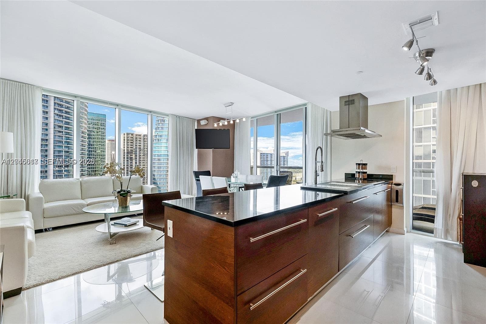 485 Brickell Ave 3602 photo 13