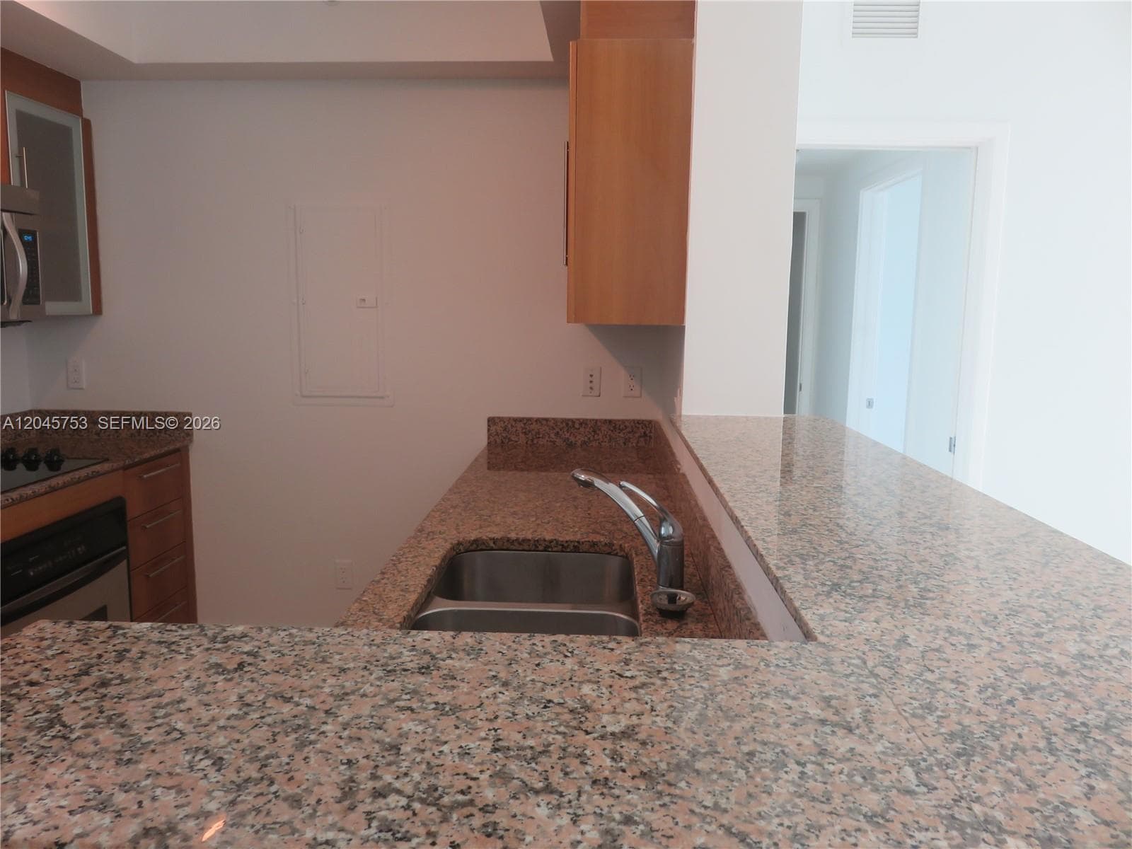 335 S Biscayne Blvd 3503 photo 13
