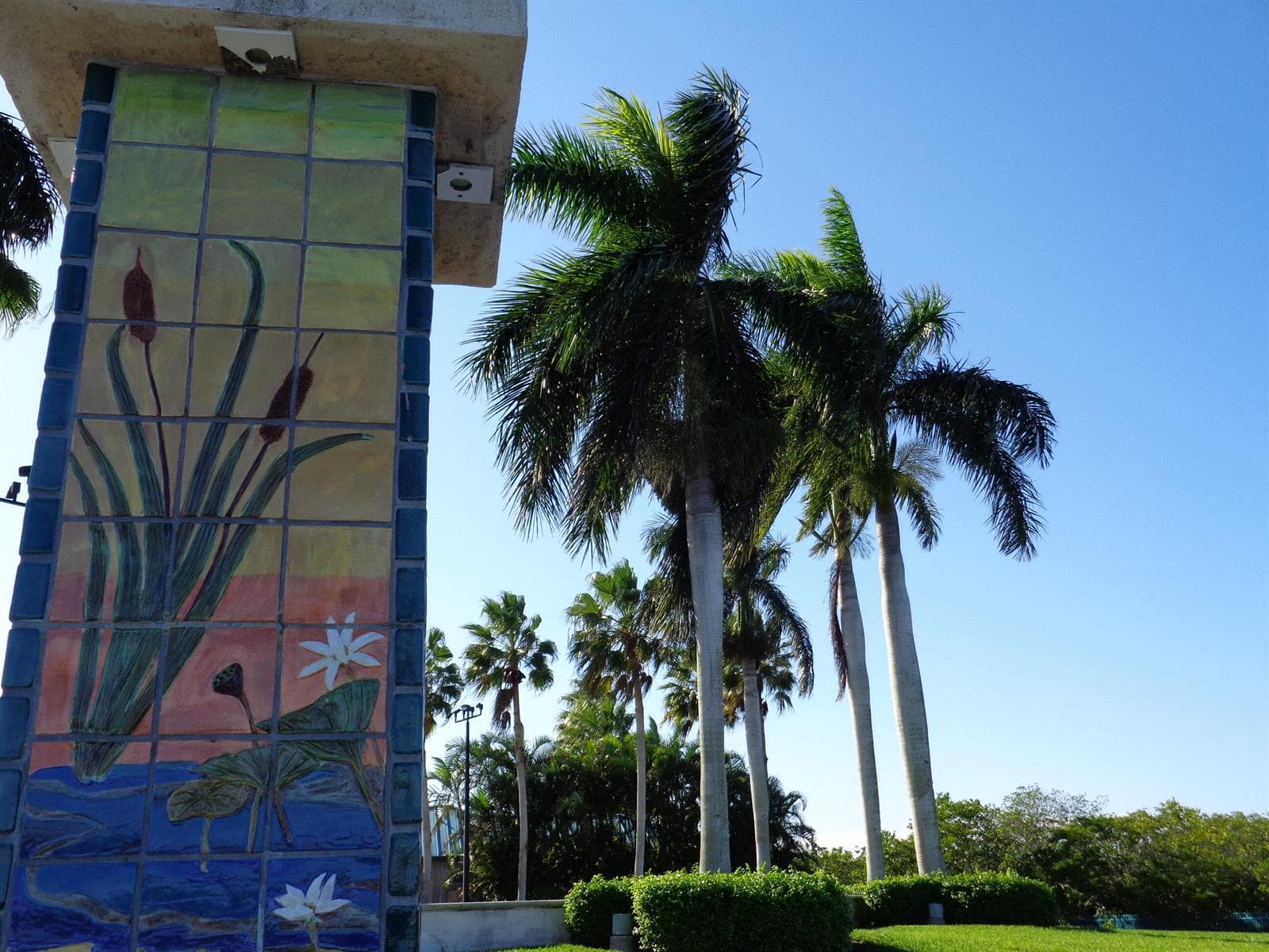 1903 Robalo Drive photo 20