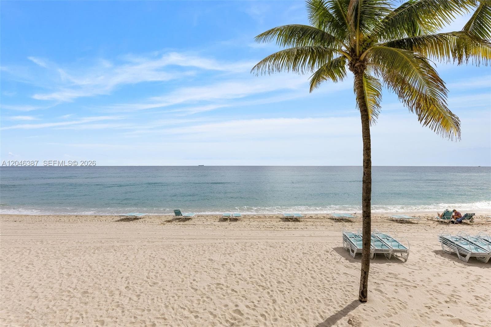 2501 S Ocean Dr 438 photo 25
