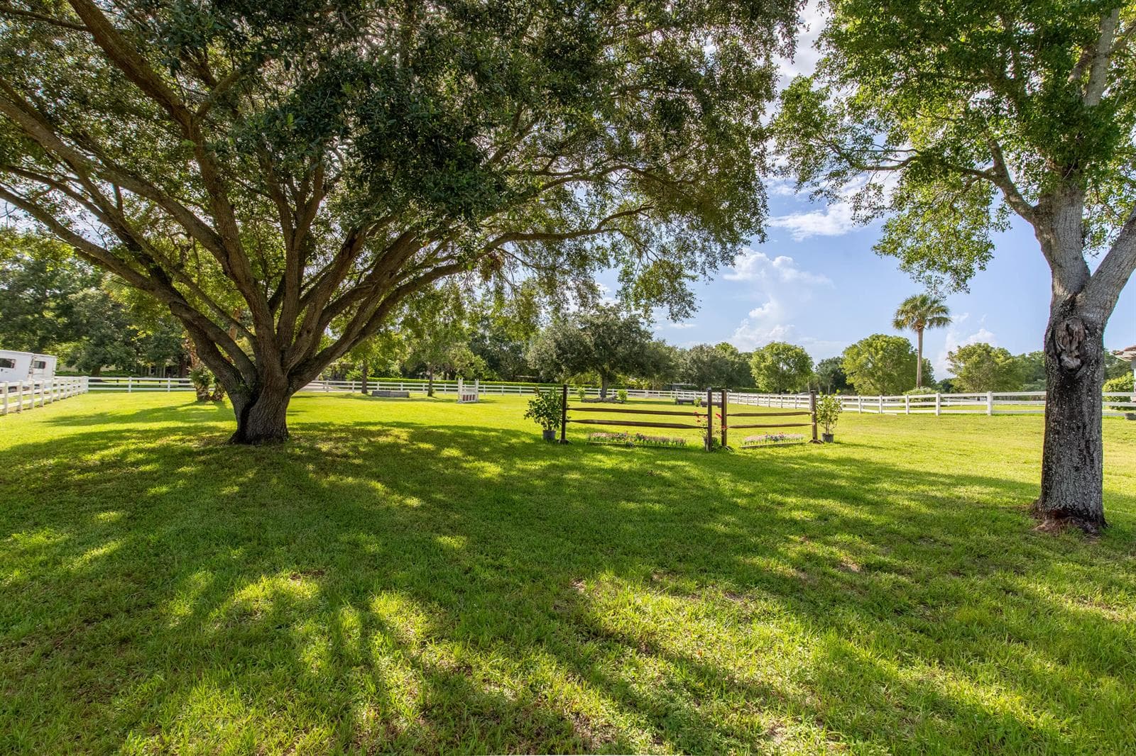 844 Arabian Drive photo 6