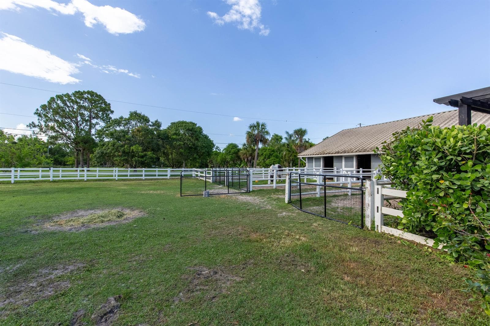 844 Arabian Drive photo 16