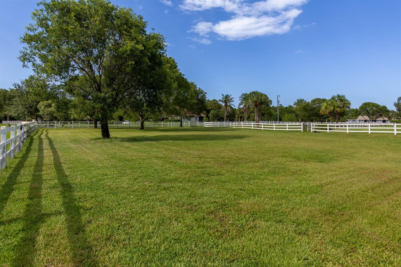 844 Arabian Drive photo 24