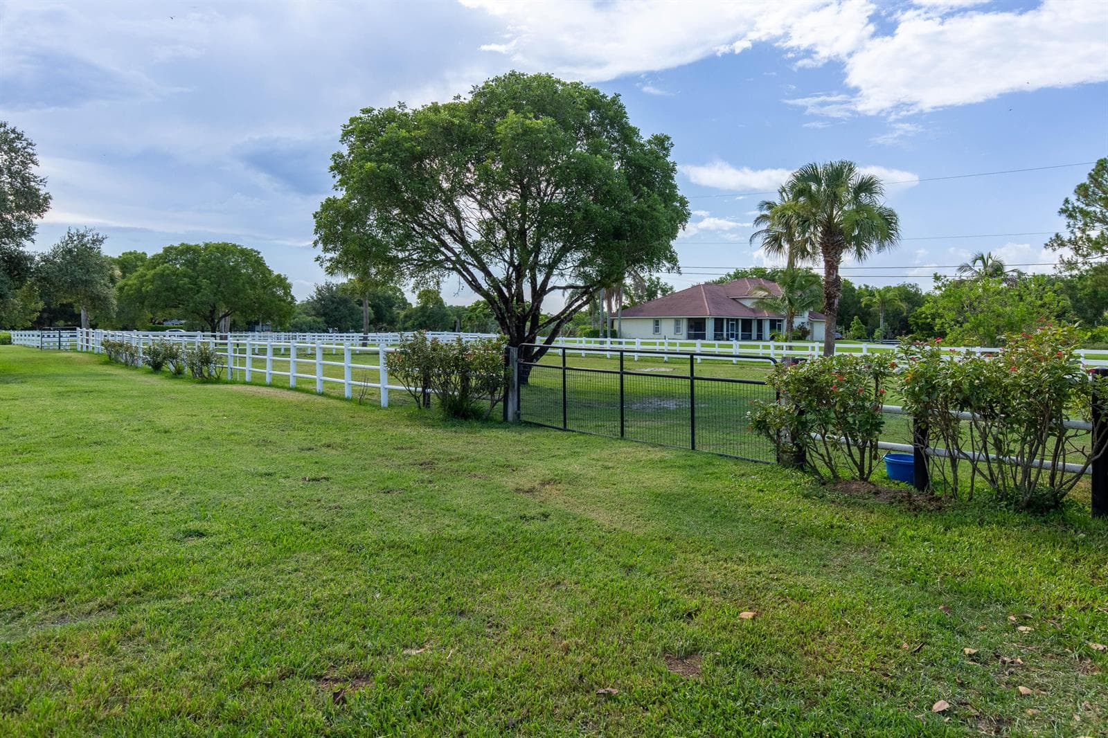 844 Arabian Drive photo 15