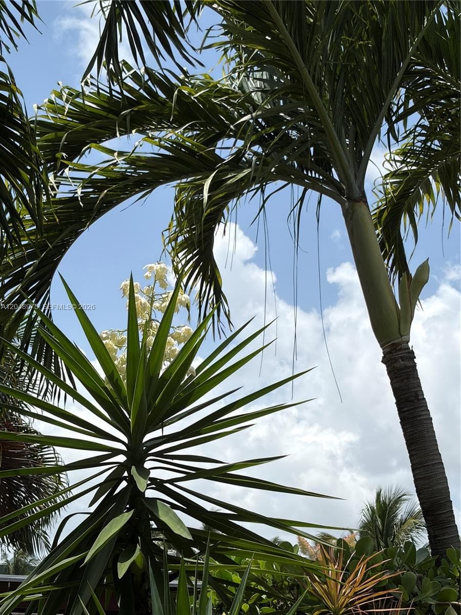 1401 Argonaut Isle photo 9