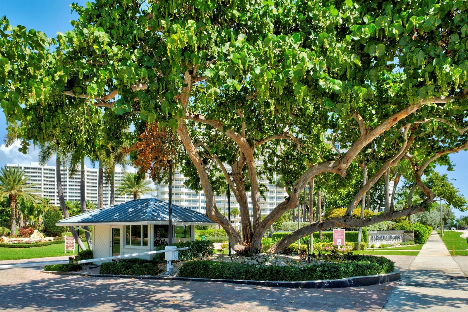 4201 N Ocean Boulevard 608 photo 12