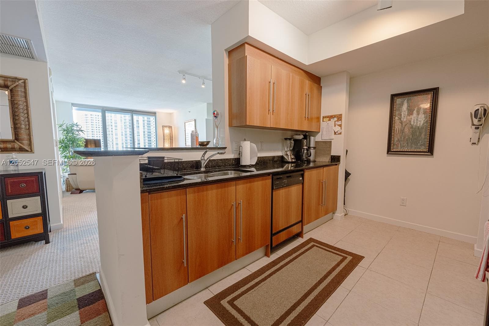 325 S Biscayne Blvd 2119 photo 19