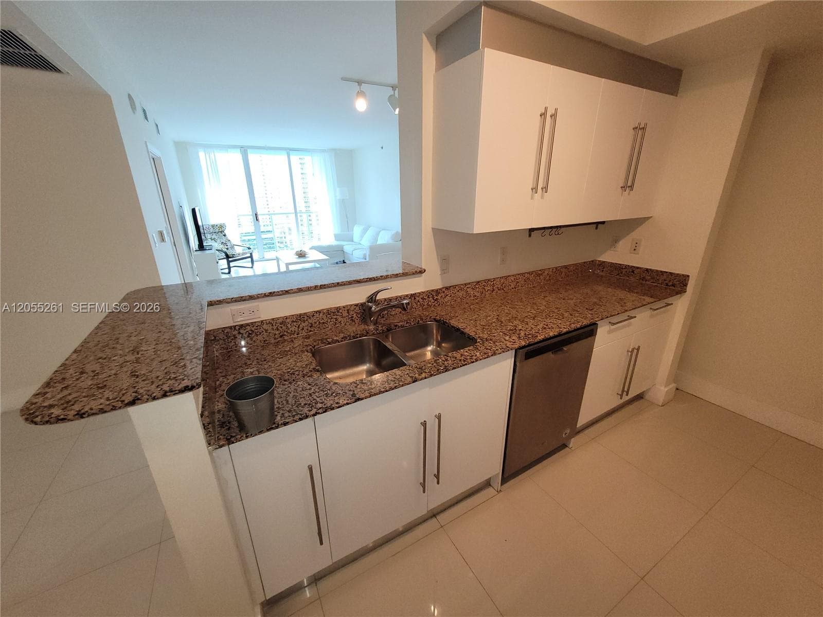 325 S Biscayne Blvd 1719 photo 13