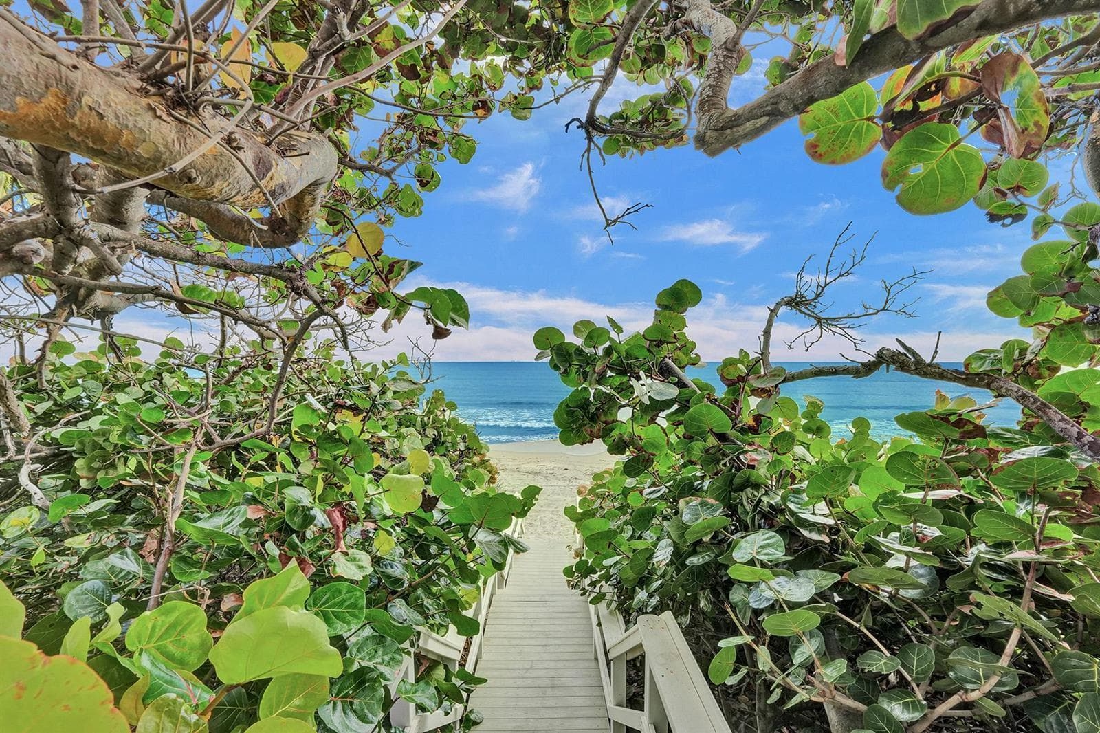 3606 S OCEAN Boulevard 603 photo 3