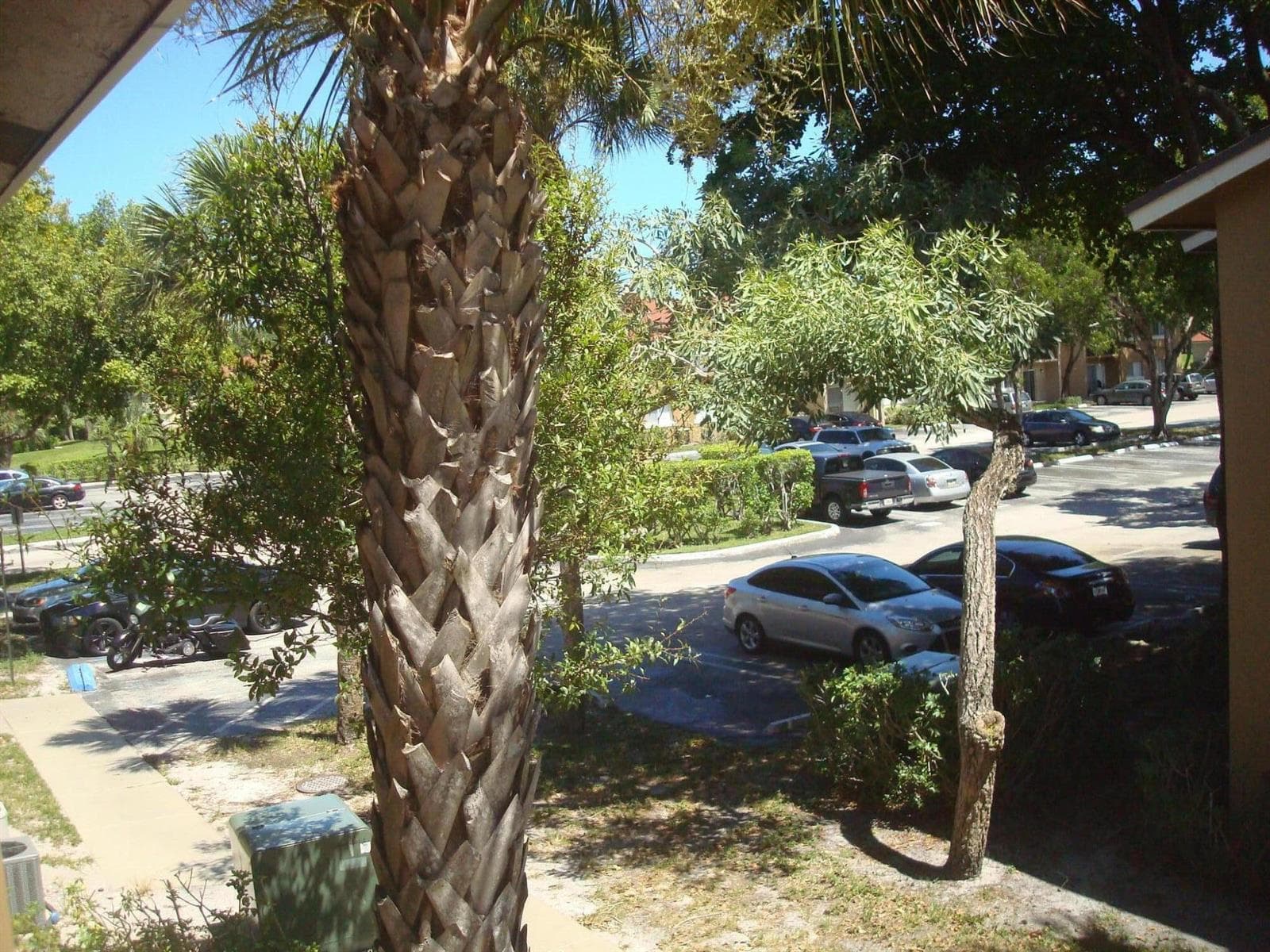 1141 LAKE VICTORIA Drive H photo 22