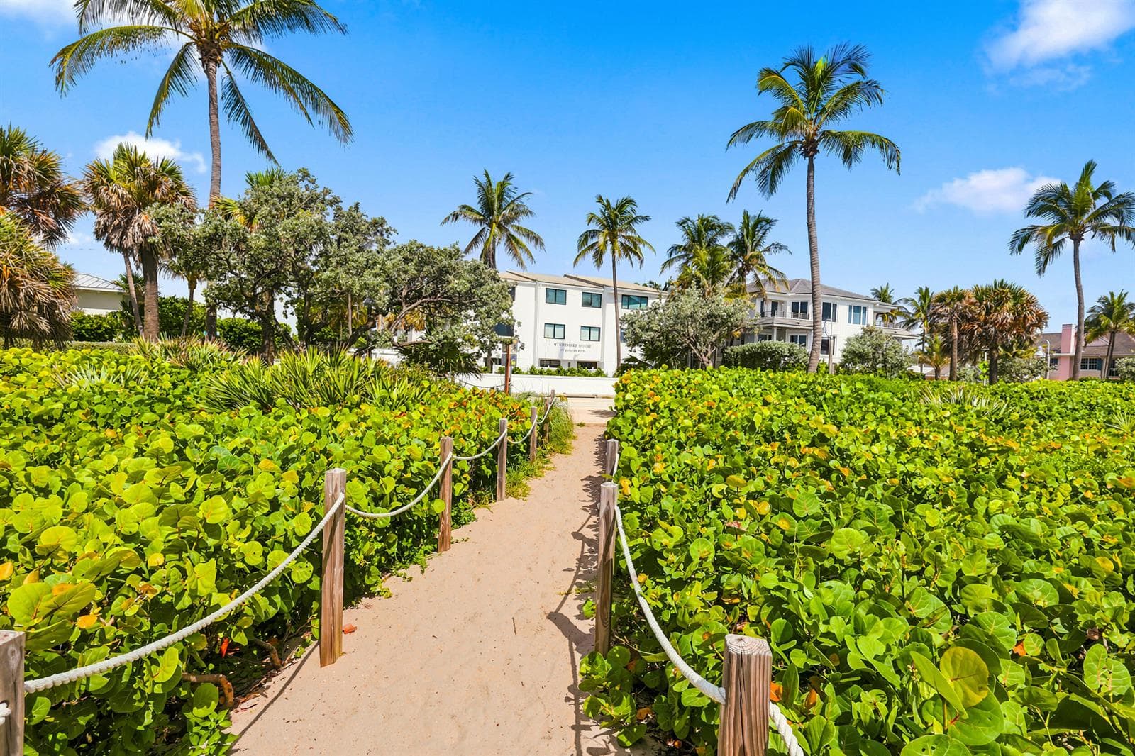 250 S Ocean Boulevard 263 photo 4