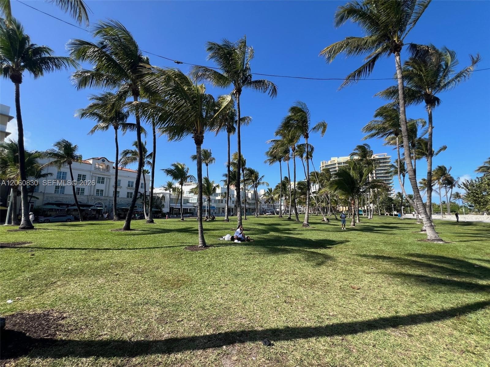 1390 Ocean Dr 101 photo 7