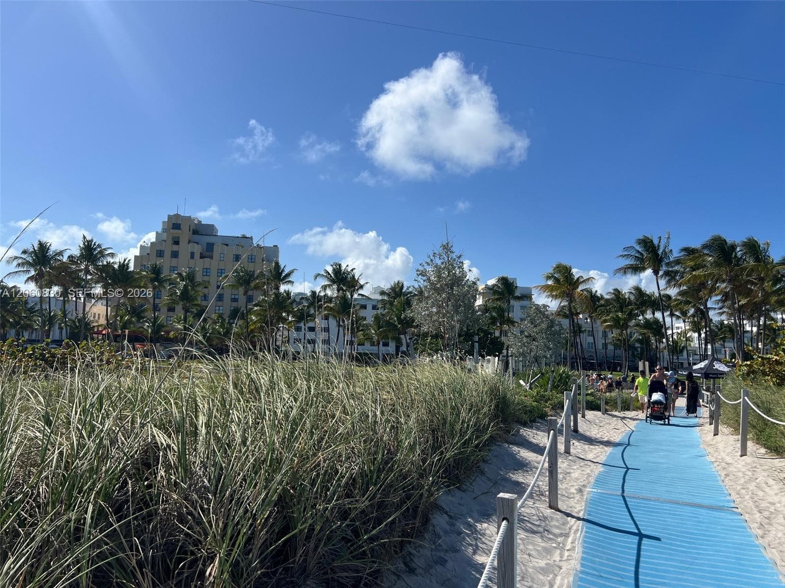 1390 Ocean Dr 101 photo 3