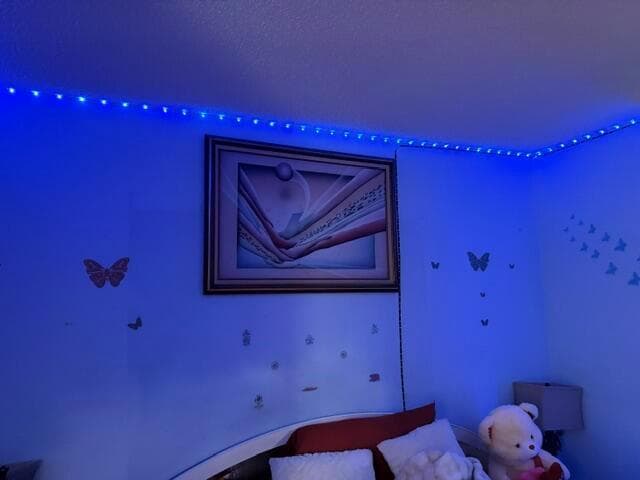 188 CARIBE Court photo 8