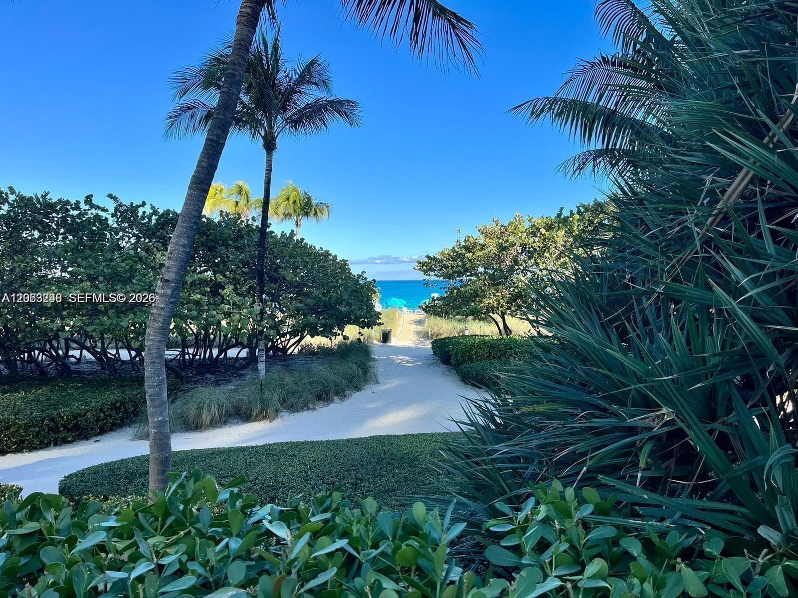 10185 Collins Ave 1215 photo 4