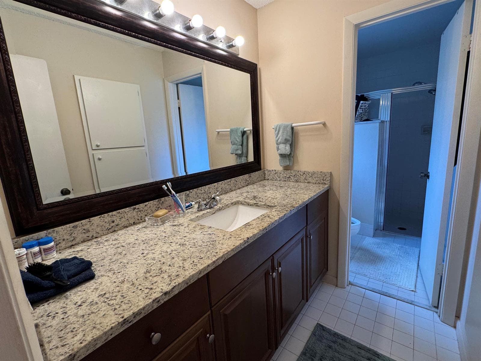 11894 Suellen Circle photo 13