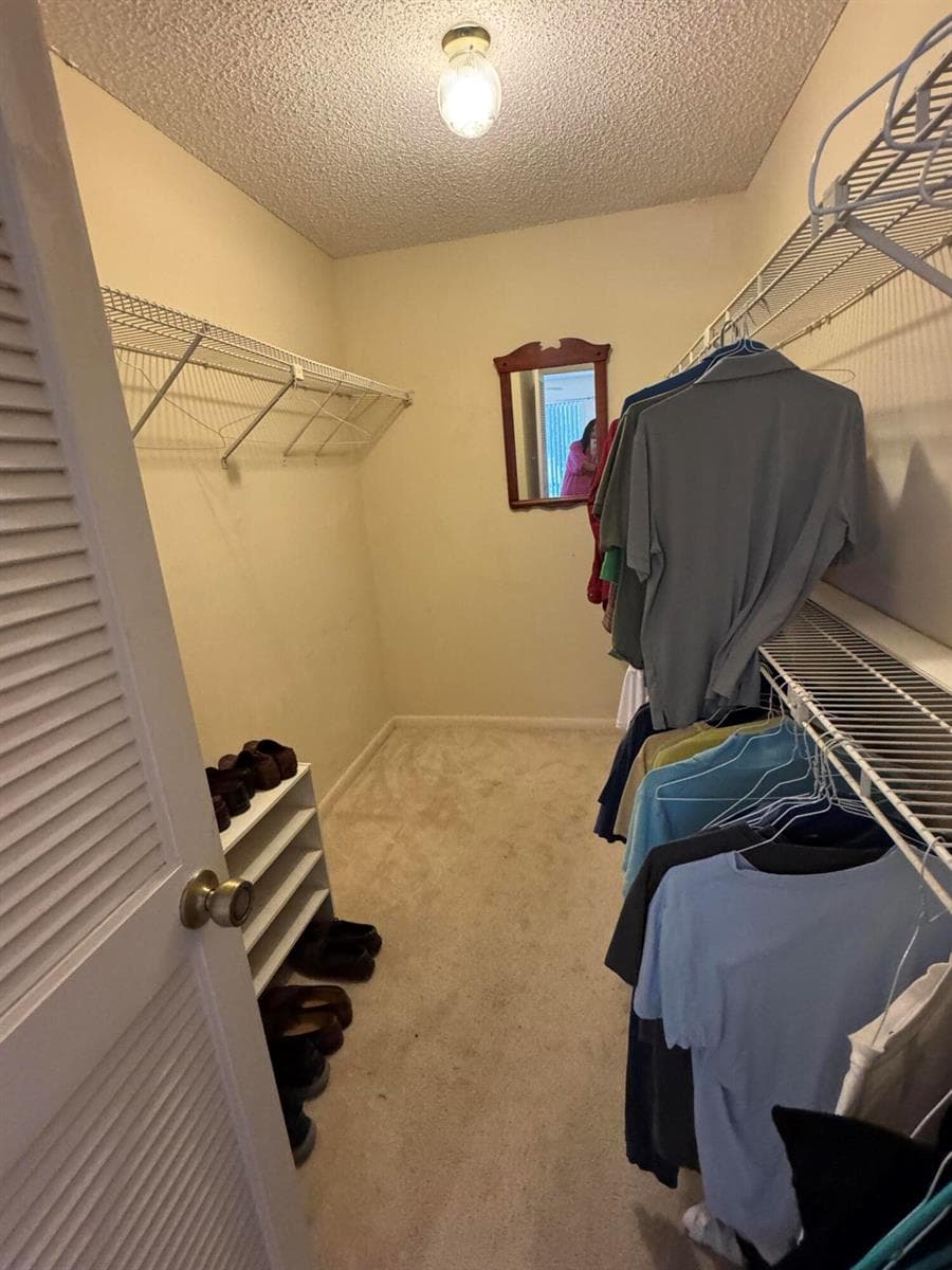 11894 Suellen Circle photo 14