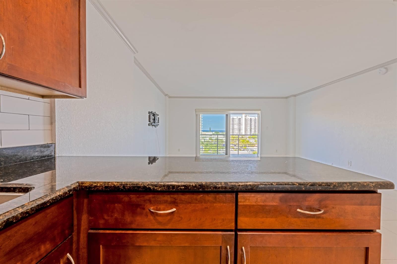 2900 NE 30th Street 9i photo 13