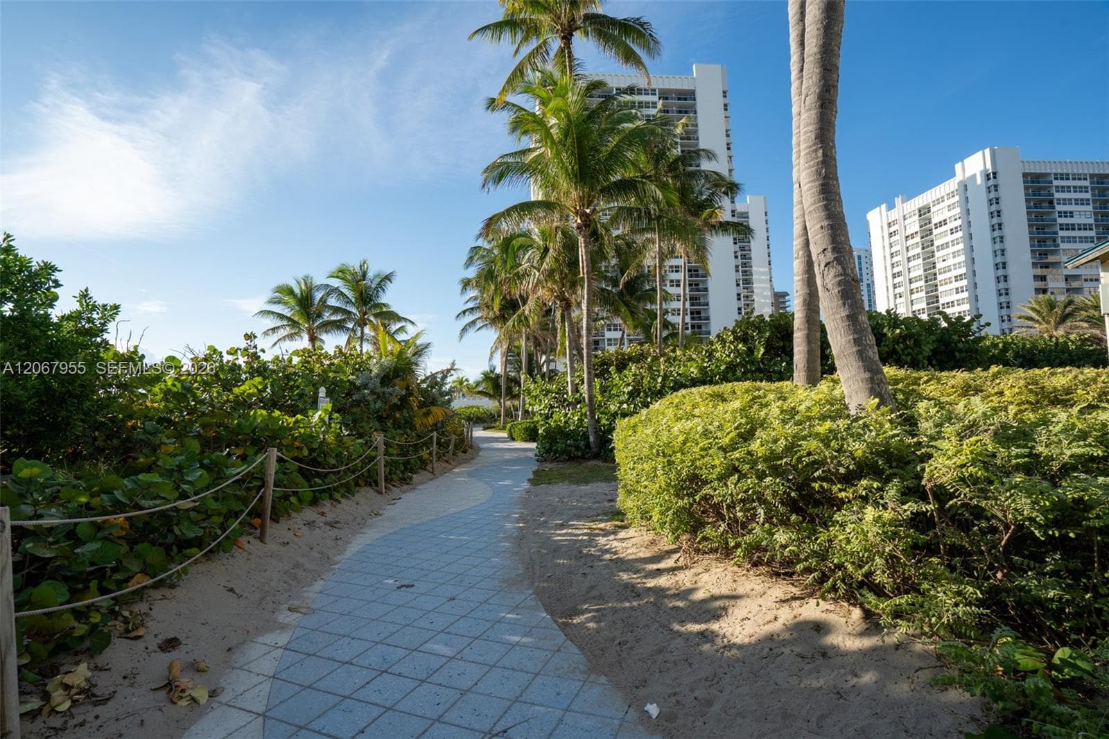1849 S Ocean Dr 1509 photo 2