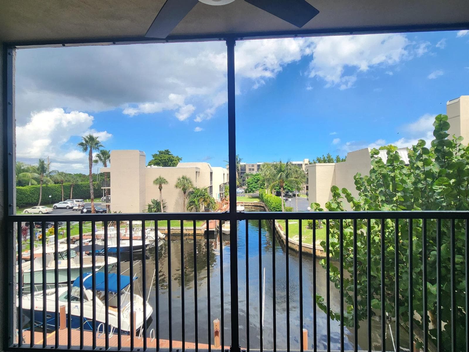 17 ROYAL PALM Way 3030 photo 1