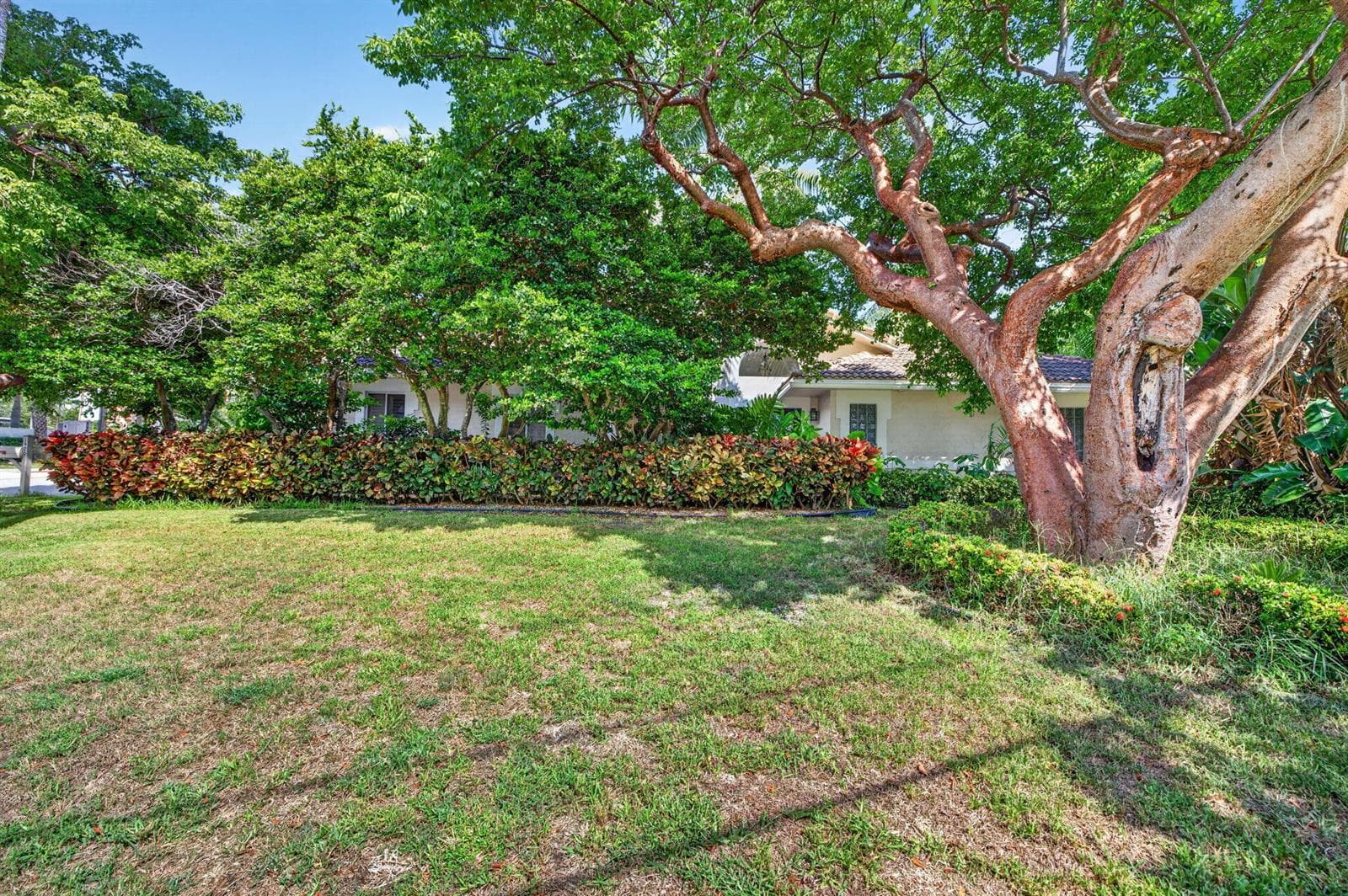 1920 E Terra Mar Drive photo 2
