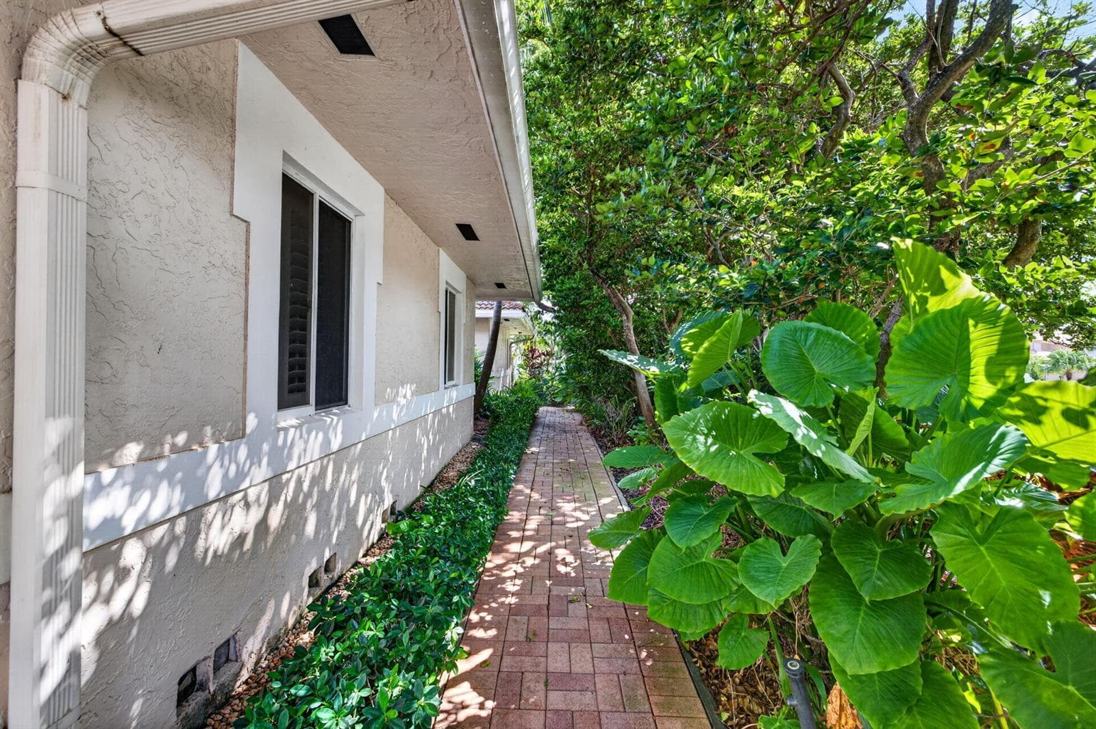 1920 E Terra Mar Drive photo 5