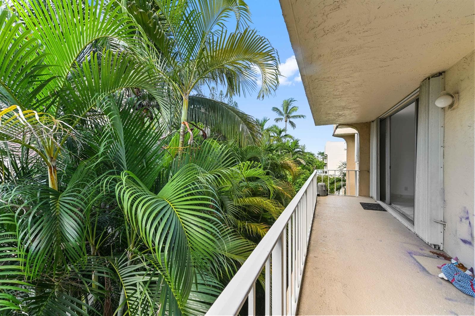 3575 S OCEAN Boulevard 309 photo 5