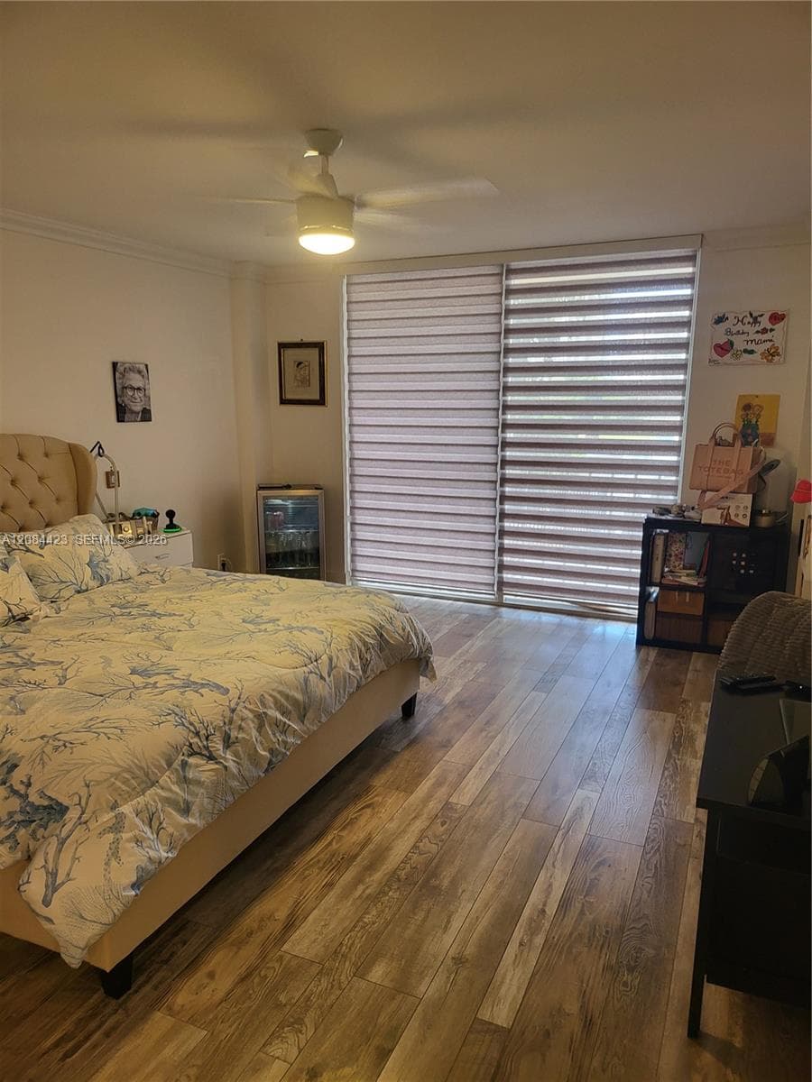 M19 photo 10