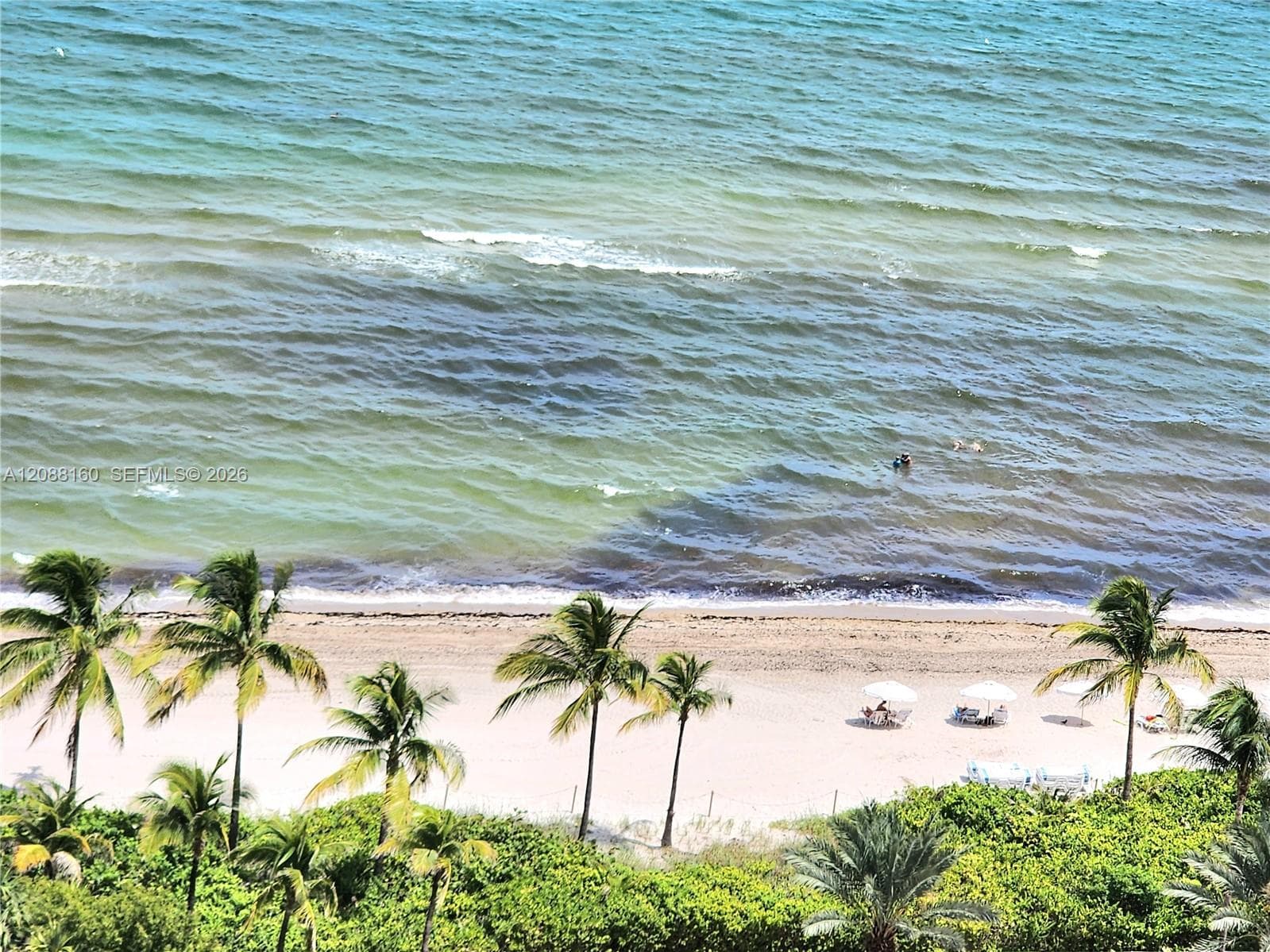 2030 S Ocean Dr 1710 photo 4