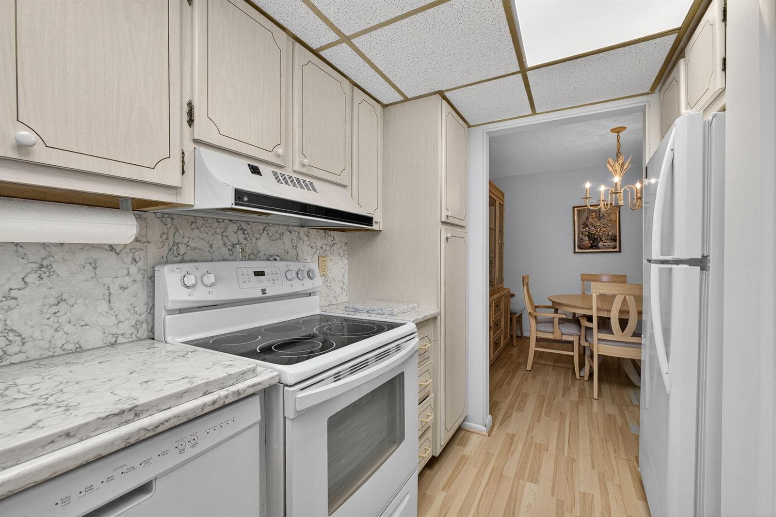 111 Shore Court 301 photo 9